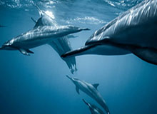 开云体育-Kysports:引领运动潮流的新风向